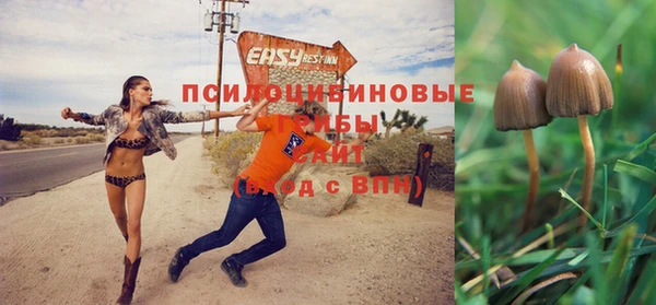 ешки Белоозёрский