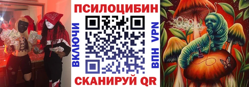 mega   где найти наркотики  Болхов  Галлюциногенные грибы мухоморы 